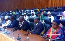 Actualité : l’assemblée nationale adopte une résolution demandant au gouvernement de démettre le directeur de la SOGEAC