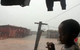 Le Gabon adopte une loi sur les changements climatiques