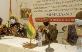 Guinée : Tenue de l’atelier National de Dissémination du Dossier d’Investissement de la SRMINIA-N