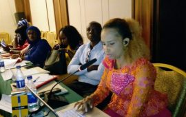 Guinée: tenue de l’atelier pour l’Examen Préalable du Qatar sur l’Application de la Convention des Nations Unies