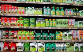 Guinée : L’utilisation des produits insecticides dans les foyers devient un danger pour la population