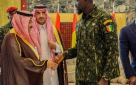 Cooperation bilatérale: le Chef de l’État reçoit M. Sultan Al-Murshed PDG du Fonds saoudien de developpement