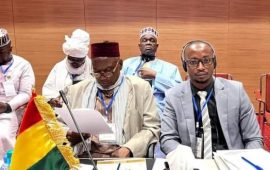 ALGER/17ème Session de la Conférence de l’Union Parlementaire des États Membres de l’OCI: la Guinée obtient deux places dans les Comités Spécialisés Permanents