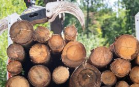 Protection de la nature: Vers le transport du bois par ballons dirigeables en Afrique