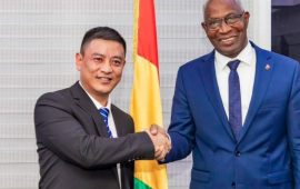 Guinée: le Premier Ministre a reçu le Directeur général de China EAST HOPE INDUSTRY