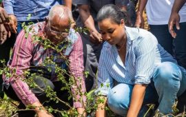 Guinée/Environnement: le PM procède au lancement de la 3ème étape de la campagne de reboisement 2024 sur le site de Kakimbo