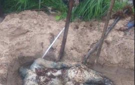 Drame de Sierra Leone : sept autres corps retrouvés à Koba Taboria (Photo)