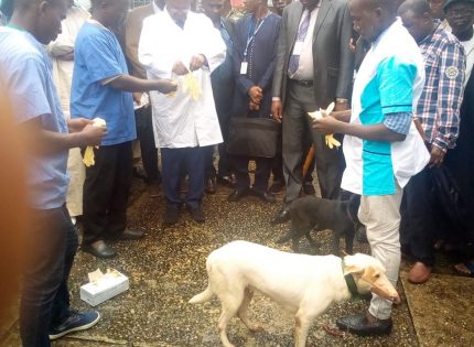 Conakry : Lancement de la Campagne  de vaccination basée sur le risque contre la rage