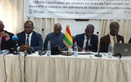 Guinée/Elections législatives: Réunion du CIP pour la mise en place et la formation des CAERLES