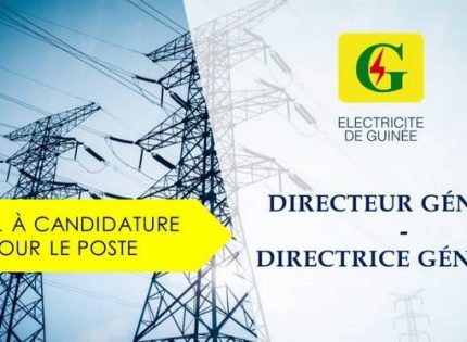 APPEL À CANDIDATURES : DIRECTEUR GÉNÉRAL / DIRECTRICE GÉNÉRALE ÉLECTRICITÉ DE GUINÉE (EDG SA)