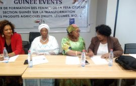 Conakry : La FEFA CEDEAO Section/Guinée Organise une formation de deux (2) jours à l’intention des femmes entrepreneures