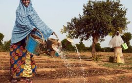 Afrique : La BM investira plus de 5 milliards USD dans les zones arides