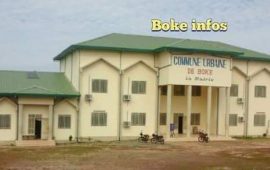 Commune Urbaine de Boké :le maire Tawel Camara s’emporte et profère des injures à Amara Somparé et Mathurin Bangoura