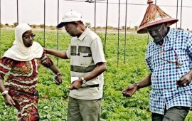 Sénégal : Lancement du projet « Femmes et Agriculture résilientes »