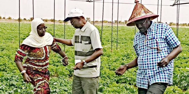 Sénégal : Lancement du projet « Femmes et Agriculture résilientes »