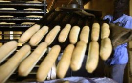 Un boulanger français en grève de la faim contre l’expulsion de son apprenti guinéen