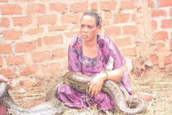 Zimbabwe: Une femme surprise en train d’allaiter un serpent (vidéo)