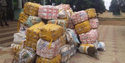 Kindia : Plus de 2 tonnes de chanvre indien saisie dans un camion à destination pour Conakry
