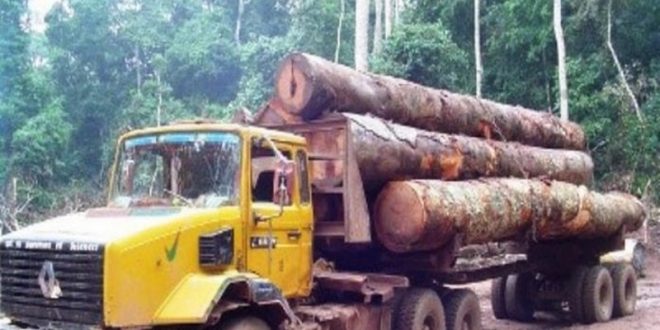 Faranah: Saisie de 5 camions transportant du bois vers la Sierra Léone