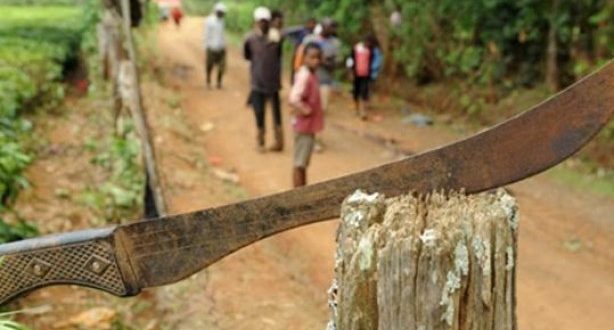 Nzérékoré : Un orphelin de 13 ans perd ses (2) doigts pour avoir cueilli une mangue dans un champ d’autrui