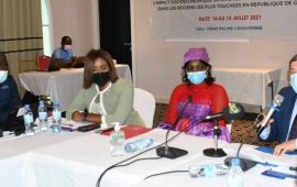 Guinée: Restitution des résultats de l’étude sur l’impact socioéconomique de la crise de la COVID-19 sur les femmes dans les Régions