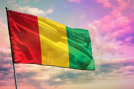 Guinée/Entreprenariat : La richesse interne va-t-elle vers l’effondrement ? Et si la Guinée adoptait le modèle de l’ANC (Alpha Kamara)