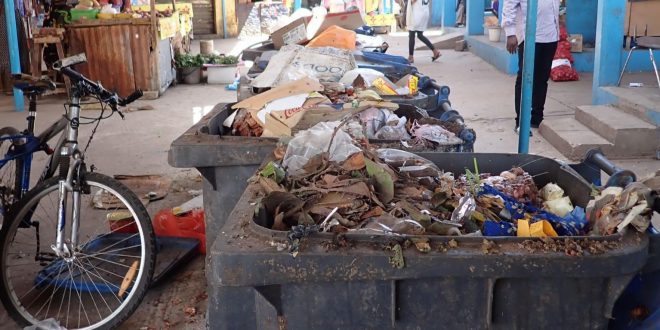 20211014_170841-660x330