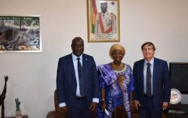 La Ministre de l’Environnement et Développement durable reçoit le Représentant résident du PNUD en Guinée
