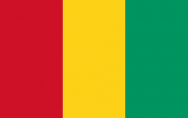 Guinée: Vers la mise en place du Gouvernement de Transition, les ennemis de la République s’activent