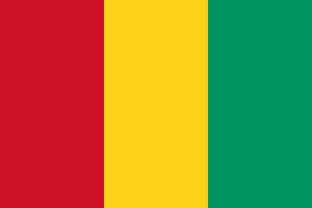 Guinée: Vers la mise en place du Gouvernement de Transition, les ennemis de la République s’activent