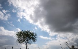 La CEDEAO élabore une « stratégie régionale climat »