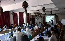 Médias: À Zanzibar, des journalistes africains formés sur la pêche durable