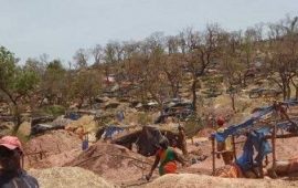 Guinée/Koundara : Arrestation de 33 orpailleurs clandestins sénégalais à Termèssè