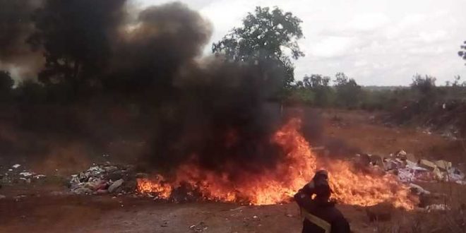 Mamou: 1450 kg de chanvre indien incinérés dans la préfecture