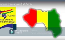 Affaire patronat Guinéen :la désinformation et  la manipulation ne passent pas !