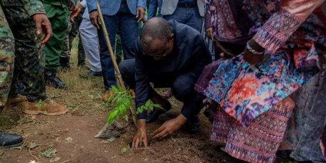 Guinée/Environnnement: les membres du gouvernement œuvrent contre le recul des forêts et autres espaces verts à travers le pays