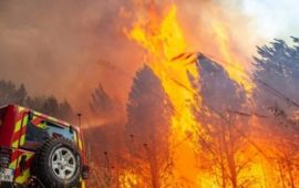 Climat: en France, le gigantesque incendie qui dévaste la Gironde gagne du terrain