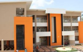 Guinée/Éducation: Inauguration de l’école primaire Barry Diawadou à Dixinn port