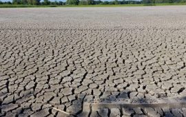 Changement climatique/KAS : Troisième « Académie de diplomatie climatique » en Afrique