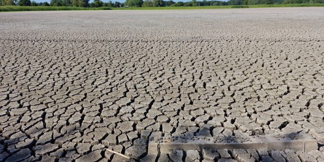 Changement climatique/KAS : Troisième « Académie de diplomatie climatique » en Afrique