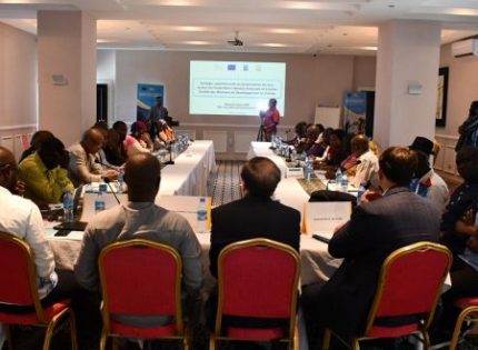 Validation de la Stratégie nationale de formalisation participative et de dynamisation du secteur des Minéraux de développement en Guinée