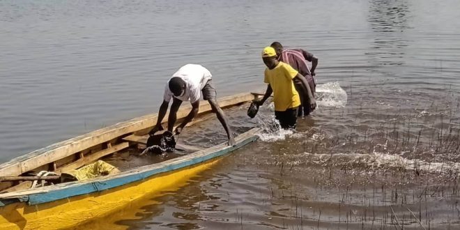 Kindia: un enfant de 3 ans se noie dans le lac de Souapiti à Bangouya