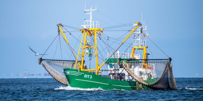 230608-99-985109-v3-s2048-660x330