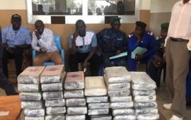 Forécariah : Saisie 44, 814 kg de Cocaïne par les services des douanes de Pamelap