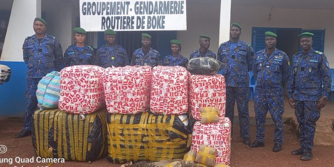 Boké: près de 478 kg de chanvre indien saisis par la gendarmerie routière au PK92 dans le district Dondé (Boffa)