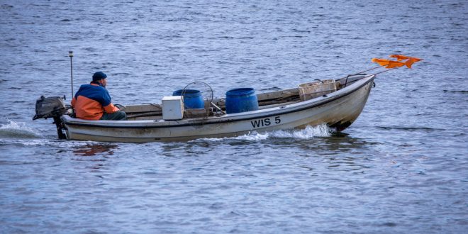 L’Allemagne dote des pêcheurs égyptiens de barques à moteurs