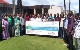 Guinée/Climat: lancement des travaux de l’atelier de validation des Plans Climats Sectoriels pour la mise en œuvre efficace de la CDN