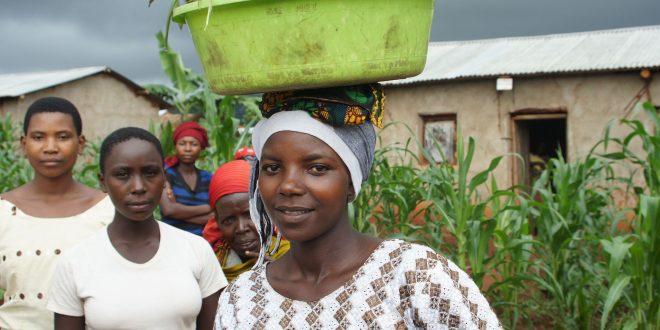Développement agricole: Lancement d’un fonds de soutien aux PME agricoles en Afrique