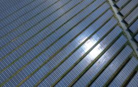 Énergie renouvelable: L’IFC conclut un partenariat pour des projets solaires en Afrique