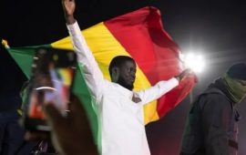 Sénégal : Bassirou Diomaye Faye largement en tête, le camp d’Amadou Ba n’abdique pas encore